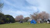 根岸森林公園