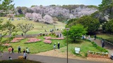 根岸森林公園