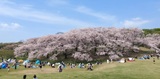 根岸森林公園