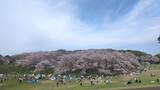 根岸森林公園