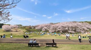 PHOTO 根岸森林公園#1
