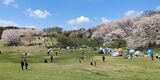 根岸森林公園