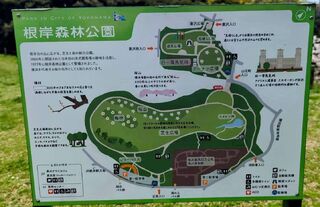 PHOTO 根岸森林公園#6