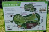 根岸森林公園