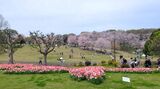 根岸森林公園
