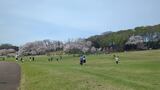 根岸森林公園