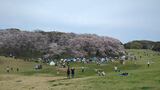根岸森林公園