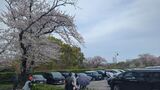 根岸森林公園
