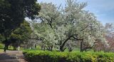 根岸森林公園