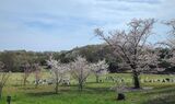 根岸森林公園