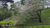 根岸森林公園