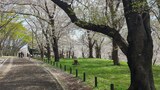 根岸森林公園