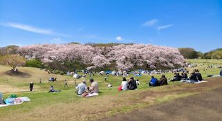 PHOTO 根岸森林公園#5