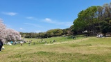 根岸森林公園