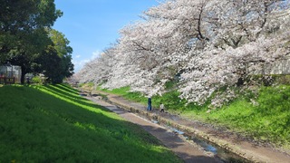 PHOTO 江川せせらぎ緑道#3