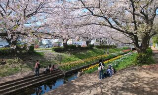 江川せせらぎ緑道