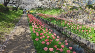 PHOTO 江川せせらぎ緑道#2