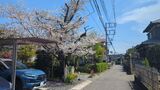 小机城跡