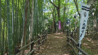 PHOTO 小机城跡#1