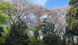小机城跡
