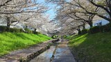 江川せせらぎ緑道