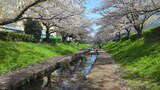 江川せせらぎ緑道