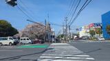 江川せせらぎ緑道