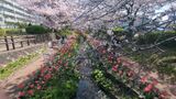 江川せせらぎ緑道