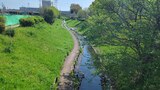 江川せせらぎ緑道