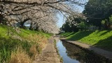 江川せせらぎ緑道