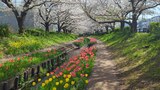 江川せせらぎ緑道