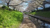 江川せせらぎ緑道