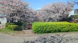江川せせらぎ緑道