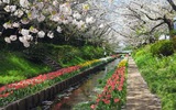 江川せせらぎ緑道