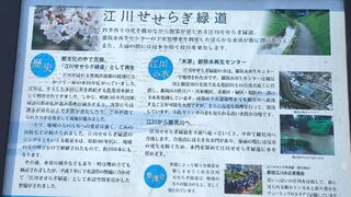 PHOTO 江川せせらぎ緑道#6