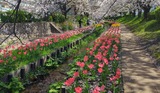 江川せせらぎ緑道