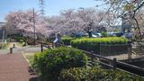 江川せせらぎ緑道