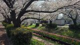 江川せせらぎ緑道