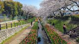 江川せせらぎ緑道
