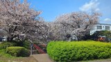江川せせらぎ緑道