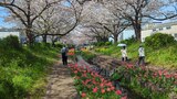 江川せせらぎ緑道
