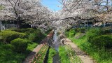 江川せせらぎ緑道