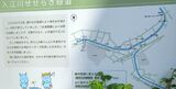 入江川せせらぎ緑道