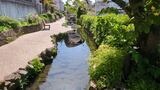 入江川せせらぎ緑道