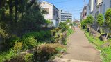 入江川せせらぎ緑道