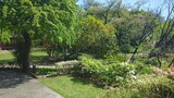 馬場花木園