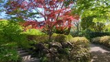 馬場花木園