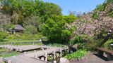 馬場花木園