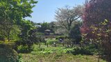 馬場花木園