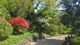 馬場花木園